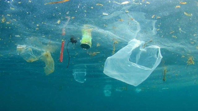 Patto per gli Oceani: l’UE investe 1 miliardo per la tutela dei mari