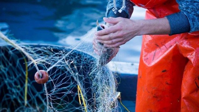 L’UE Intensifica la Lotta contro la Pesca Non Sostenibile: Nuove Regole per i Paesi Terzi