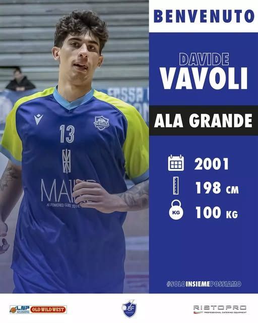 VAVOLI