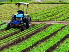 Il PD accende il dibattito sul futuro dell’agricoltura: a Pontinia convegno su innovazione, sostenibilità e sicurezza alimentare