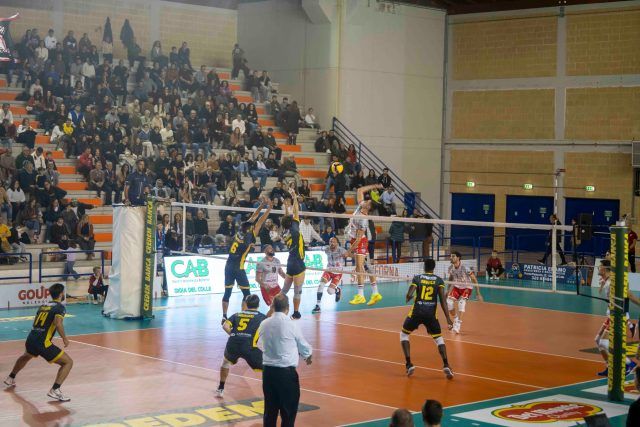 Pallavolo-Gioia del Colle Viridex 2025