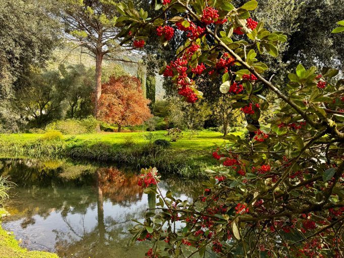 ninfa inverno