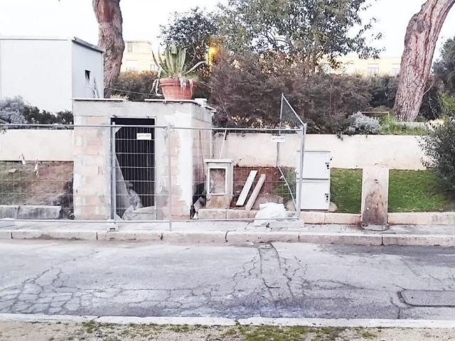 Sabaudia-Piazza Circe manufatto