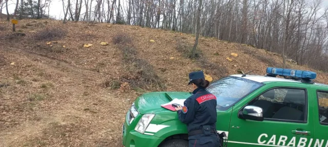 carabinieri-forestale-lazio