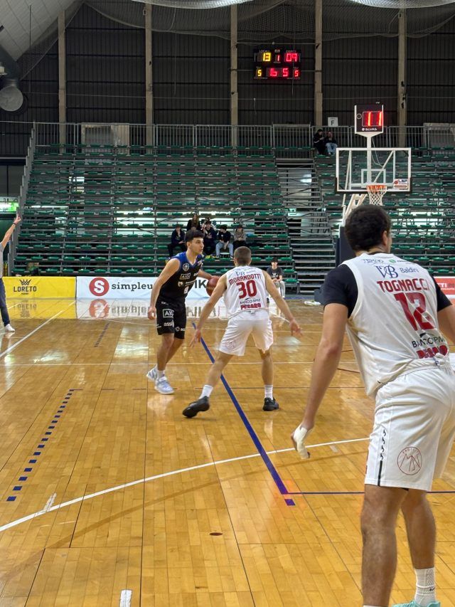 gallo (2)