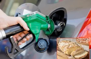 La risposta alle auto elettriche arriva dall’Italia, si potrà fare i pieno con gli scarti del pane
