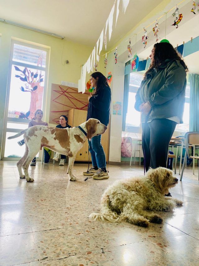 Sezze-progetto animali scuole