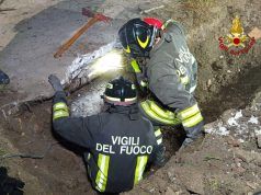 Vigili del Fuoco salvano il cane Frodo da un tubo di scorrimento dell’acqua