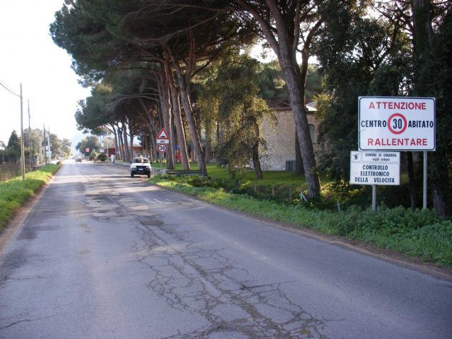 Molella