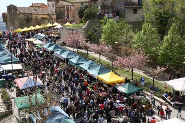 Sezze-sagra carciofo