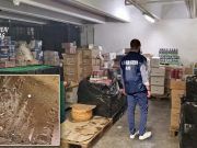Escrementi di topi, carcasse di roditori e blatte nel magazzino: il NAS chiude il deposito di un supermercato a Latina
