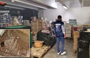 Escrementi di topi, carcasse di roditori e blatte nel magazzino: il NAS chiude il deposito di un supermercato a Latina
