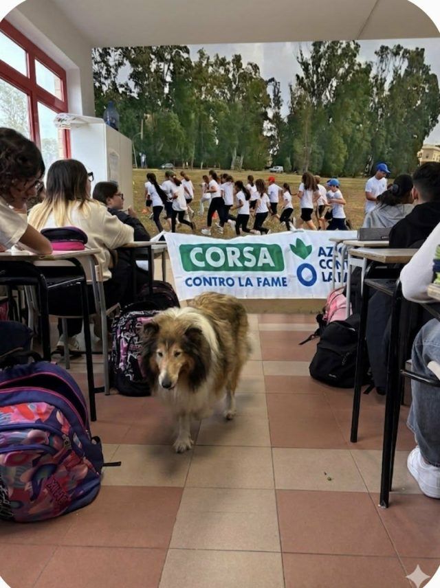 Sabaudia-Cencelli corsa fame e pet therapy