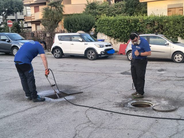 Sabaudia-disinfestazione