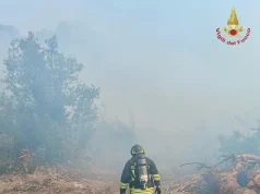 Incendio di vegetazione alle porte di Roma, evacuate alcune abitazioni a Castel Porziano