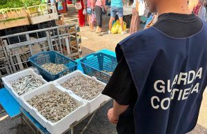 Maxi controlli della Guardia Costiera in provincia di Latina: sequestrati oltre 250 chili di pesce e multe per più di 13mila euro