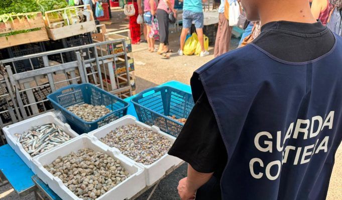 Maxi controlli della Guardia Costiera in provincia di Latina: sequestrati oltre 250 chili di pesce e multe per più di 13mila euro
