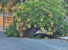Poteva uccidere l’albero che si è spezzato vicino alla scuola Vittorio Veneto