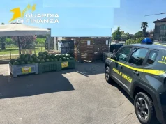 Sequestrati a Rovigo 450 kg di carne scaduta e 3 tonnellate di verdura marcia